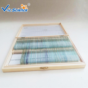 Liver cirrhosis, medical histology, digestive system diseases, biological slides, <b>microscope</b> slides - Product Image 3