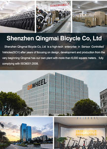 <span class=keywords><strong>Bicicleta</strong></span> Eléctrica Fatbike V20 Limited 250W para Desplazamientos, 48V 15.6Ah, Alcance de 60 km, <span class=keywords><strong>Doble</strong></span> Suspensión, Certificación CE, Entrega Rápida en Europa, <span class=keywords><strong>Bicicleta</strong></span> Eléctrica Urbana - Product Image 6