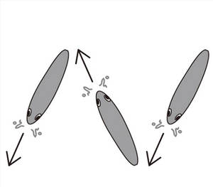 L'eau de mer 100mm 17.5g Artificielle Poisson Appât Flottant Basse Leurre De Pêche 3D Côtière TopKnock Crayon Topwater Walker - Product Image 5