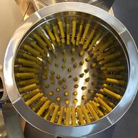 Machine à plumer les poulets commerciale, déplumeuse de volailles 30 kg/heure pour l'abattage