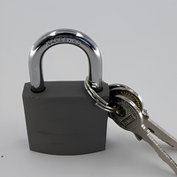 SHIND 37429 Cadenas en laiton épais Type 30mm Trois clés Outils de verrouillage étanches et résistants à la corrosion pour une utilisation intérieure et extérieure