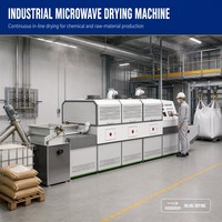 Séchoir tunnel industriel à micro-ondes en acier inoxydable avec convoyeur pour le traitement des fruits secs et des raisins