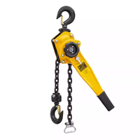 Machine de levage à chaîne à poulie à levier manuel avec poignée personnalisée Utilisation de la construction 0.25t-9t Capacité de charge Matériau en acier