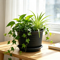 Pot de fleurs en PP épaissi avec trou de drainage, design minimaliste, durable, capacité de 1,2 L pour le jardinage, les plantes succulentes à la maison