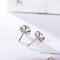 Großhandel Mode 925 Sterling Silber Rosa Emaille Ohrringe Magnolie Blume Ohr stecker Schmuck für Frauen Geschenk