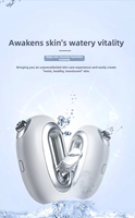 Dispositivo de Oxígeno Manual de Alta Presión, Inyector Facial en Aerosol, Máquina de Inyección de Oxígeno Portátil de Alta Calidad