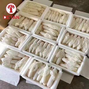 デタン白竹真菌中国輸出天然野生新鮮竹真菌 - Product Image 5