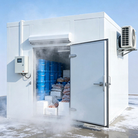 Mini-chambre froide mobile Plug-and-Play avec sol antidérapant pour la conservation temporaire des fruits et légumes de ferme