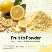 Natuurlijk citroensap poeder, spraygedroogd citroenfruitpoeder, Citrus Limon L., voor immuunondersteuning, 25kg vat