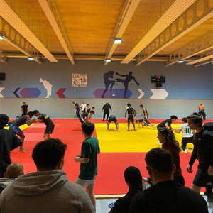 <span class=keywords><strong>Tapis</strong></span> de judo écologique absorbant les chocs, <span class=keywords><strong>tapis</strong></span> de tatami imperméable, 230 kg/m³, <span class=keywords><strong>tapis</strong></span> d'arts martiaux, tatami pour le <span class=keywords><strong>sport</strong></span> - Product Image 6