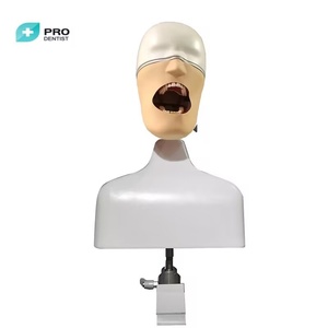 <strong>Dental</strong> <strong>Simulation</strong> Simple Head <strong>Unit</strong> ,<strong>dental</strong> Phantom Head - Product Image 6