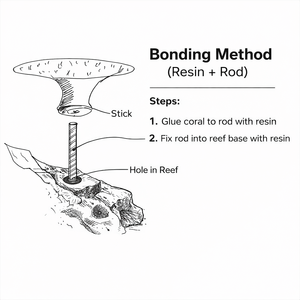 Moduli Tematici <span class=keywords><strong>in</strong></span> Corallo Artificiale e Roccia <span class=keywords><strong>in</strong></span> PU per Acquari e Oceanari - Product Image 5