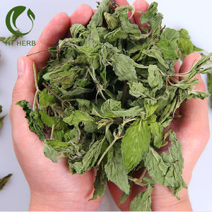 Foglie di <span class=keywords><strong>menta</strong></span> erbe essiccate appena raccolte e tè alla <span class=keywords><strong>menta</strong></span> piperita essiccato - Product Image 4