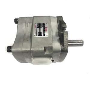 เปลี่ยนปั๊มไฮดรอลิกแบบใบพัด IGH-4F-25 รุ่น IGH/IGC-2E/2F/3E/3F/4E/4F/5E/5F-3.5/6.5/10/13/16/25/32/40/50/64-R - Product Image 3
