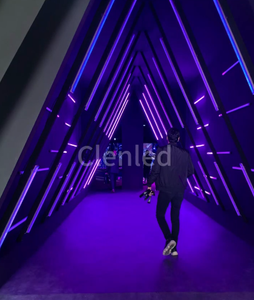 <span class=keywords><strong>VSHOW</strong></span> IP65 - Juego de 8 Luces LED de Barra de Píxeles RGB para Exteriores, con Carcasa de Aleación de Aluminio, Alimentación por Batería, Control Remoto DMX512 - Product Image 2