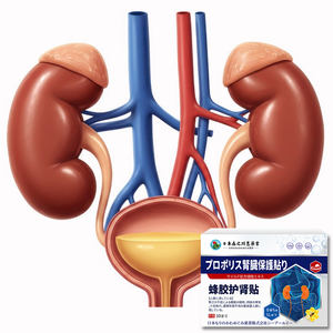 Tempelan perlindungan ginjal mengurangi nyeri punggung bawah, lutut lemah, tumpahan, dan sensitivitas dingin. - Product Image 6