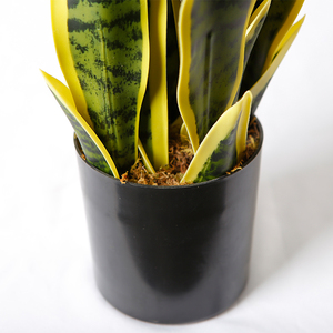 Planta Artificial <span class=keywords><strong>de</strong></span> 56 cm, Tipo Bonsái, Suculenta '<span class=keywords><strong>Lengua</strong></span> <span class=keywords><strong>de</strong></span> Madre', en Maceta, para Interiores - Product Image 6