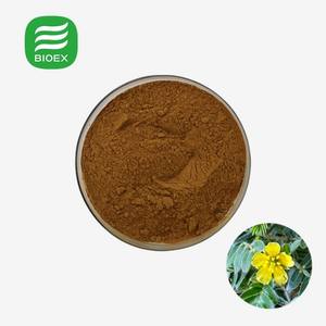 Экстракт Rehmannia Glutinosa, порошок, экстракт Rehmannia Glutinosa - Product Image 1