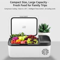 Kulkas Mobil Portabel Plastik 12L Kompresor DC Freezer -18 Pendinginan Mendalam Kontrol Suhu Cerdas 28-Tingkat Layar LED Truk