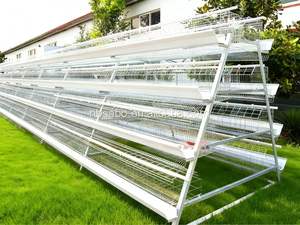 Équipement d'élevage avicole pour poulets pondeuses et poulets de chair, comprenant des cages, des mangeoires et des systèmes d'élevage au sol pour élevage en ferme - Product Image 4