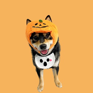 2025 Halloween calabaza fantasma gato perro mascota pañuelos lindo algodón babero especias toalla con patrón sólido accesorios de temporada de invierno - Product Image 3