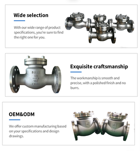 Clapet anti-retour à ressort en titane Gr 2 résistant à la corrosion, <span class=keywords><strong>prix</strong></span> usine, sur mesure OEM, à brides, pour produits chimiques, eau de mer, pétrole et gaz - Product Image 2