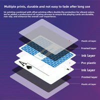 Jeu de cartes de poker WPT, entièrement personnalisé, en plastique PVC imperméable, finition mate, grand format, spécialement conçu pour les tournois de Texas à domicile