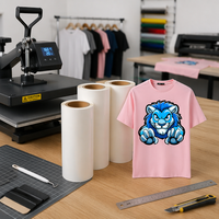 Rouleau de film DTF 30cm 60cm, film PET à décoller à chaud pour l'impression numérique sur vêtements, transfert pour imprimante jet d'encre 13 pouces
