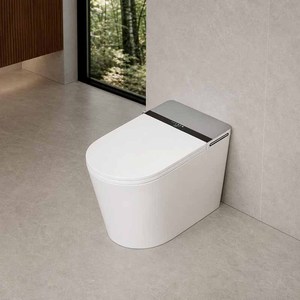 WC intelligent monobloc 110V/220V avec télécommande, siège chauffant et séchage à l'air, bidet électrique - Product Image 5