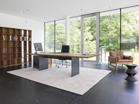 Table de conférence en bois massif de qualité supérieure, bureau de direction, durable, moderne et minimaliste pour les salles de réunion