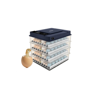 Cao Hatch Tỷ Lệ Mini Lồng Ấp Trứng Nở Giá Máy Ở <span class=keywords><strong>Nepal</strong></span> - Product Image 3