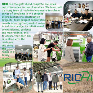 RICHI CE 인증 3-4 t/h 송아지 소 사료 펠렛 기계 - Product Image 5