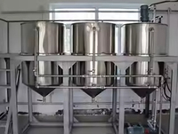 Complete Automatische Grote Palmfruitproductielijn Extractie-En Raffinageapparatuur Voor De Verwerking Van Olijfolie