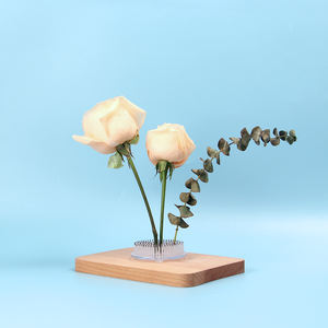 Kenzan Japonés <span class=keywords><strong>de</strong></span> Plástico <span class=keywords><strong>de</strong></span> 70 mm para Ikebana, Soporte Redondo para Flores con Logotipo Personalizado, Kit <span class=keywords><strong>de</strong></span> Inicio para Bonsái para Amantes <span class=keywords><strong>de</strong></span> las Flores - Product Image 6