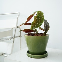 Pot de fleurs en céramique moderne avec glaçure verte brillante, avec plateau, rond, pour la maison, le jardin, la décoration de bureau