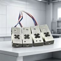 Celda de Carga de Viga Paralela HY-1D-C C2 de 20kg/40kg/80kg para Producción de Ensamblaje de Equipos de Pesaje - Suministro Directo de Fábrica