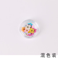 Offre Spéciale : Fleurs Séchées Colorées en Forme de Petite Fleur de Prunier avec Mini Boîte Acrylique Style 3D pour Nail Art