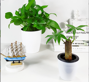 Jardinière <span class=keywords><strong>en</strong></span> <span class=keywords><strong>plastique</strong></span> auto-arrosante blanche <span class=keywords><strong>Pot</strong></span> intérieur <span class=keywords><strong>Pot</strong></span> de fleur décoratif moderne Toutes les plantes d'intérieur Fleurs Herbes - Product Image 6