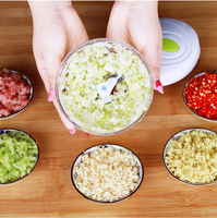 Multifunctionele Handmatige Groentesnijder Ui Knoflook Mini Voedsel Chopper Handmatige Vleesmolen Groente Fruit Twist Shredder