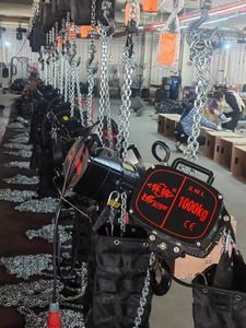 A8 + 1000 etapa aparejo truss motor cadena polipasto - Product Image 5