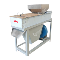 Éplucheur électrique à sec pour amandes et cacahuètes à peau rouge, en acier inoxydable SS304, tension 110V/220V/380V