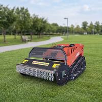 Tondeuse à gazon RC Crawler en promotion, largeur de coupe 800 mm, fonction de paillage
