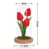 Tulipe artificielle dans un dôme en plastique, ornement créatif, veilleuse, longue durée de vie, écologique, cadeau pour la fête des mères, la Saint-Valentin