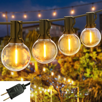 Guirlande lumineuse LED à boules suspendues pour intérieur et extérieur, blanc chaud, ampoules décoratives pour fêtes et vacances, vente chaude