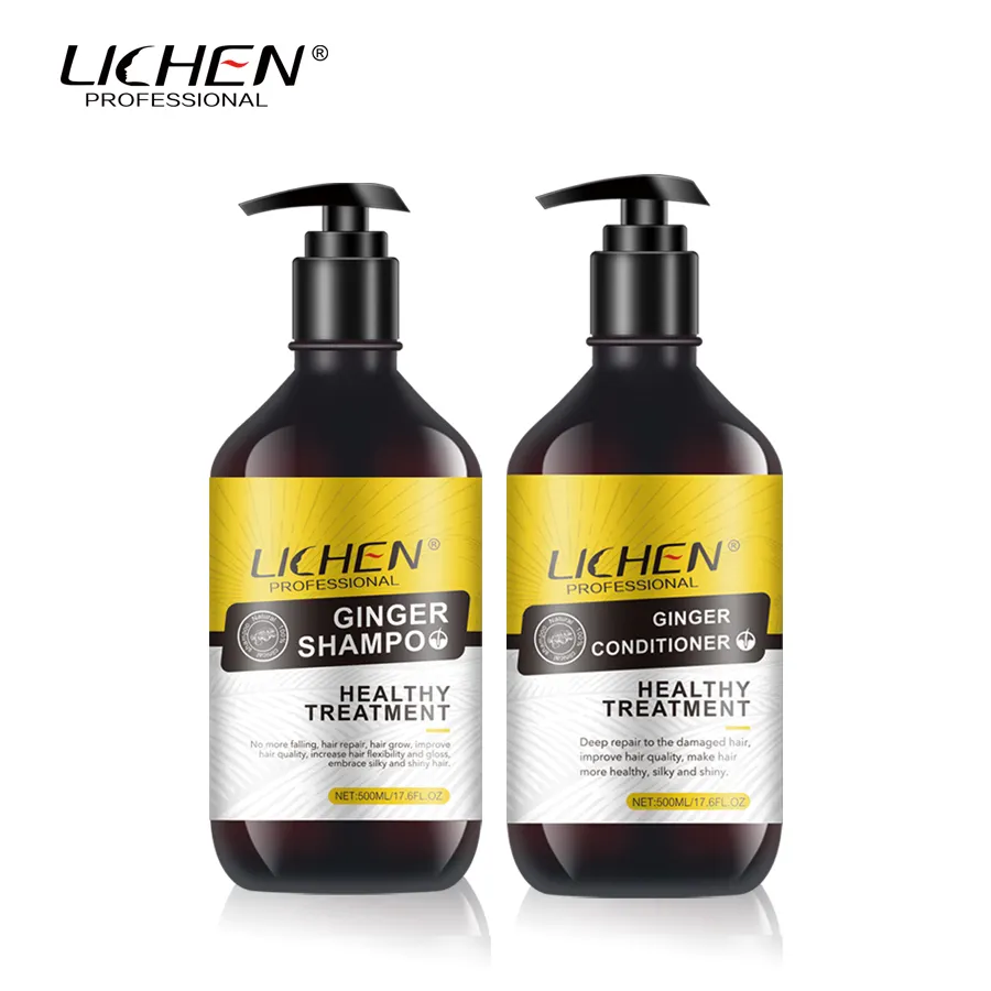 El cuidado del cabello de jengibre Natural Ginseng reparación nutrir Anti piojos champú 3 en 1 fabricante
