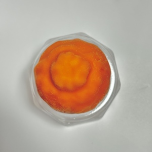 Crème glacée de haute qualité OEM, crème glacée à l'orange certifiée Halal, saveurs variées, boîte, durée de conservation de 18 mois - Product Image 4