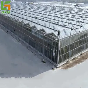 Multi-span glass greenhouse engineering agricultural with hydroponic