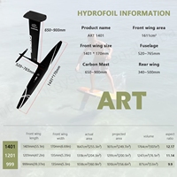 Oferta 2025: GY-HP ART 1401, Hydrofoil de Fibra de Carbono de Alto Rendimiento, 1611 cm², Mástil de Carbono Completo, Tabla de Kitesurfing, Color Negro