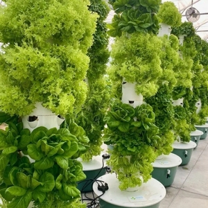 Tour de Culture Aéroponique à 9 Niveaux pour Légumes, Système Hydroponique sans Sol pour Jardin - Product Image 2