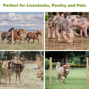 Red Antivuelco Galvanizada con Anillas de Hierro para Ganado, Ovejas y Ciervos, Valla para Ranchos y Pastizales - Product Image 4